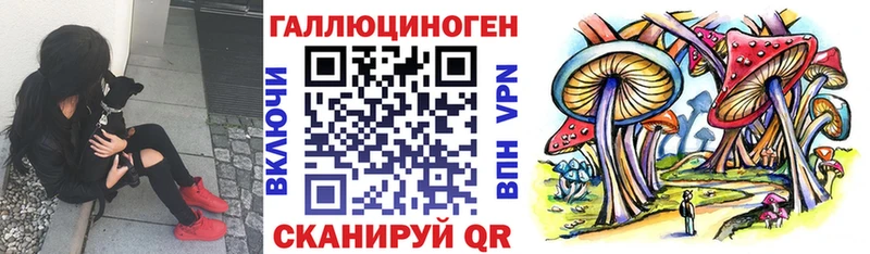 Псилоцибиновые грибы GOLDEN TEACHER  как найти наркотики  Советск 